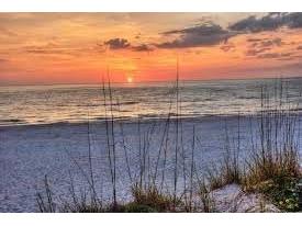 16 Paradise Lane #101 Saint Petersburg FL 33706 - INTRACOASTAL WATERWAY TB8452848 image36