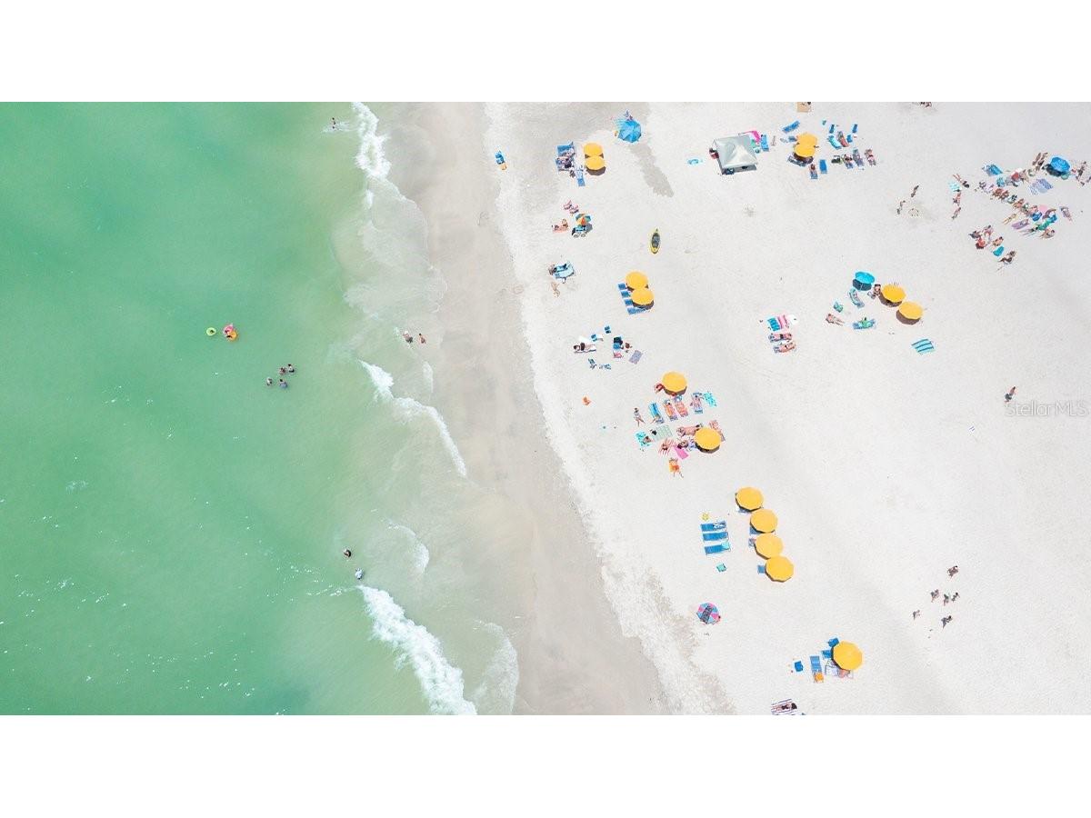 16 Paradise Lane #101 Saint Petersburg FL 33706 - INTRACOASTAL WATERWAY TB8452848 image38