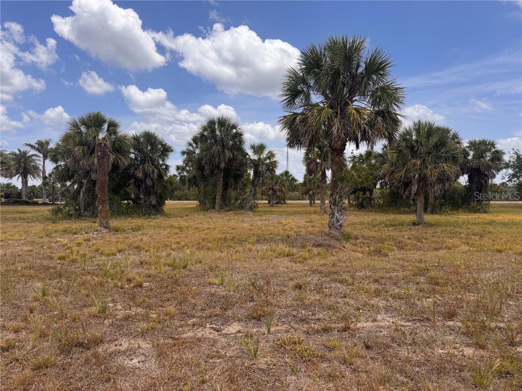 16 Redbud Court Placida FL 33946 D6142186 image1