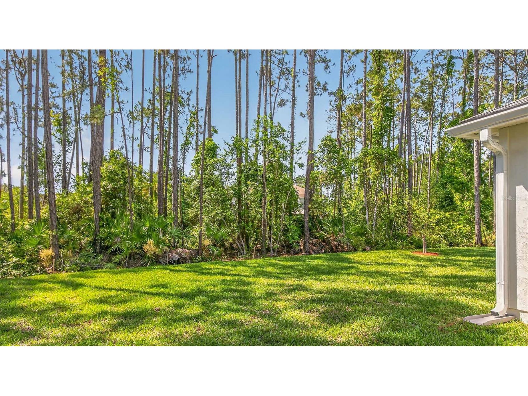 16 Reybury Lane Palm Coast FL 32164 FC316633 image42