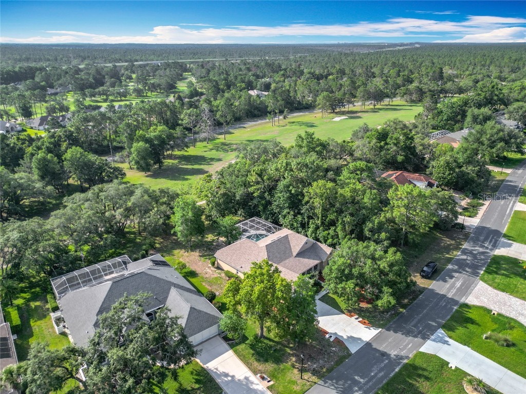 16 Ryewood Circle Homosassa FL 34446 OM702273 image3