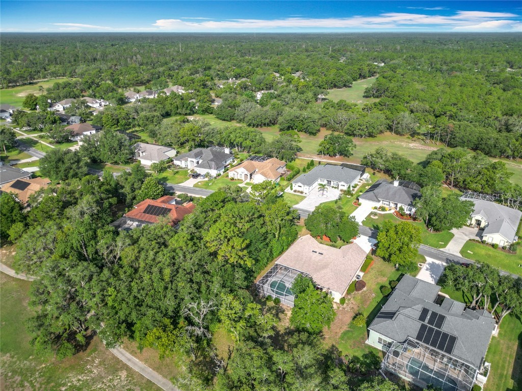 16 Ryewood Circle Homosassa FL 34446 OM702273 image67