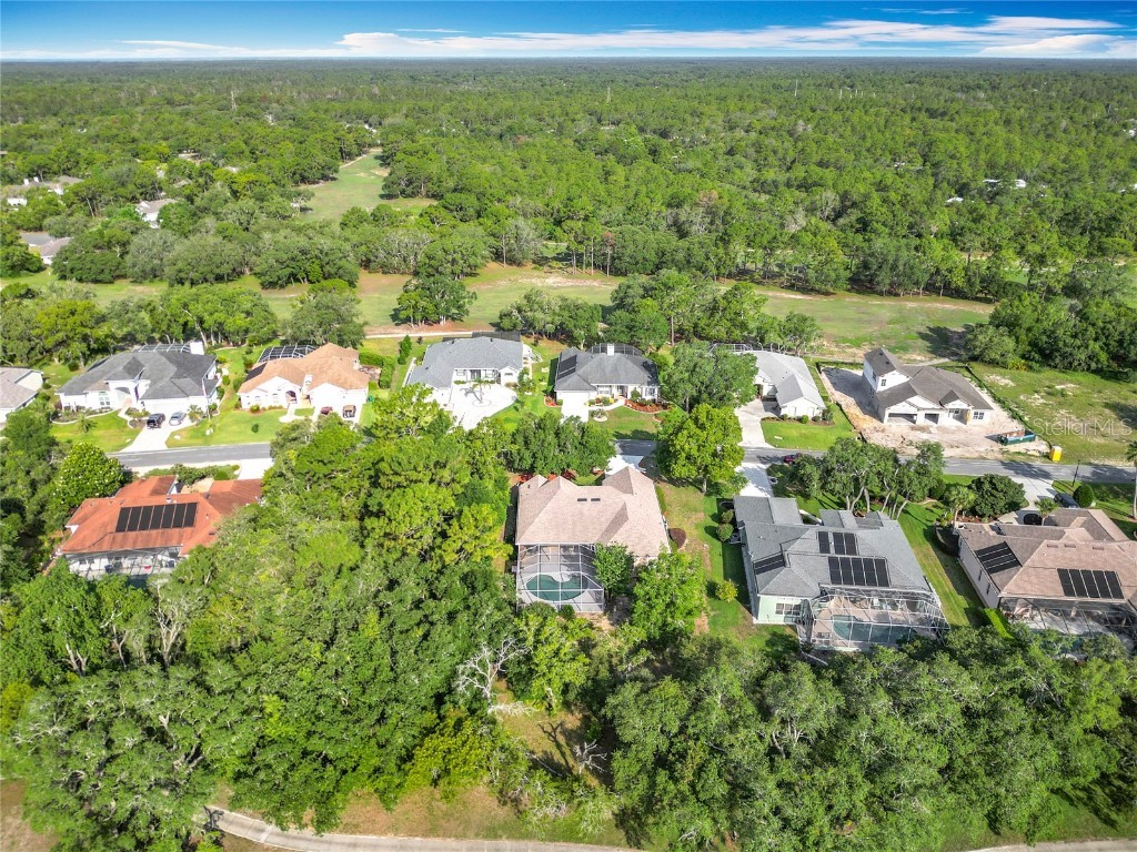 16 Ryewood Circle Homosassa FL 34446 OM702273 image68