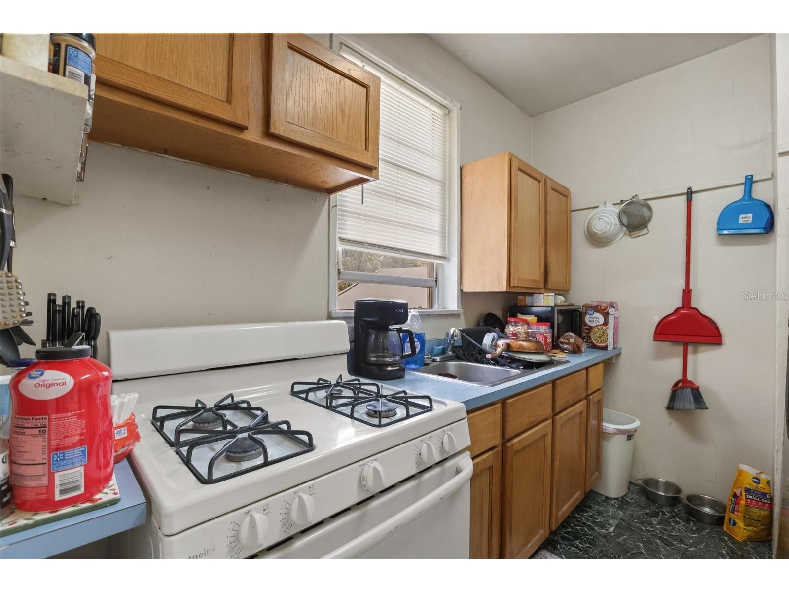 16 S Grandview Ave Daytona Beach FL 32118 O6407163 image7