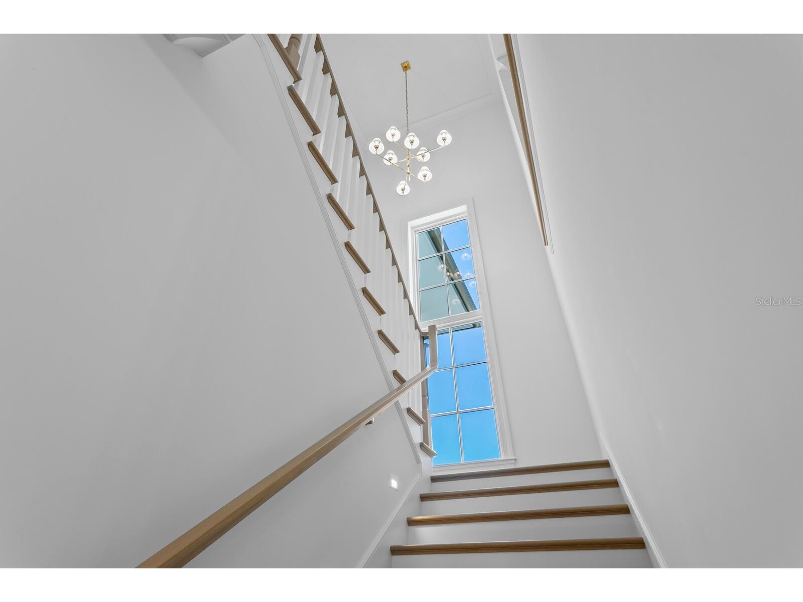 16 Sandpiper Road Tampa FL 33609 - OLD TAMPA BAY TB8510549 image30