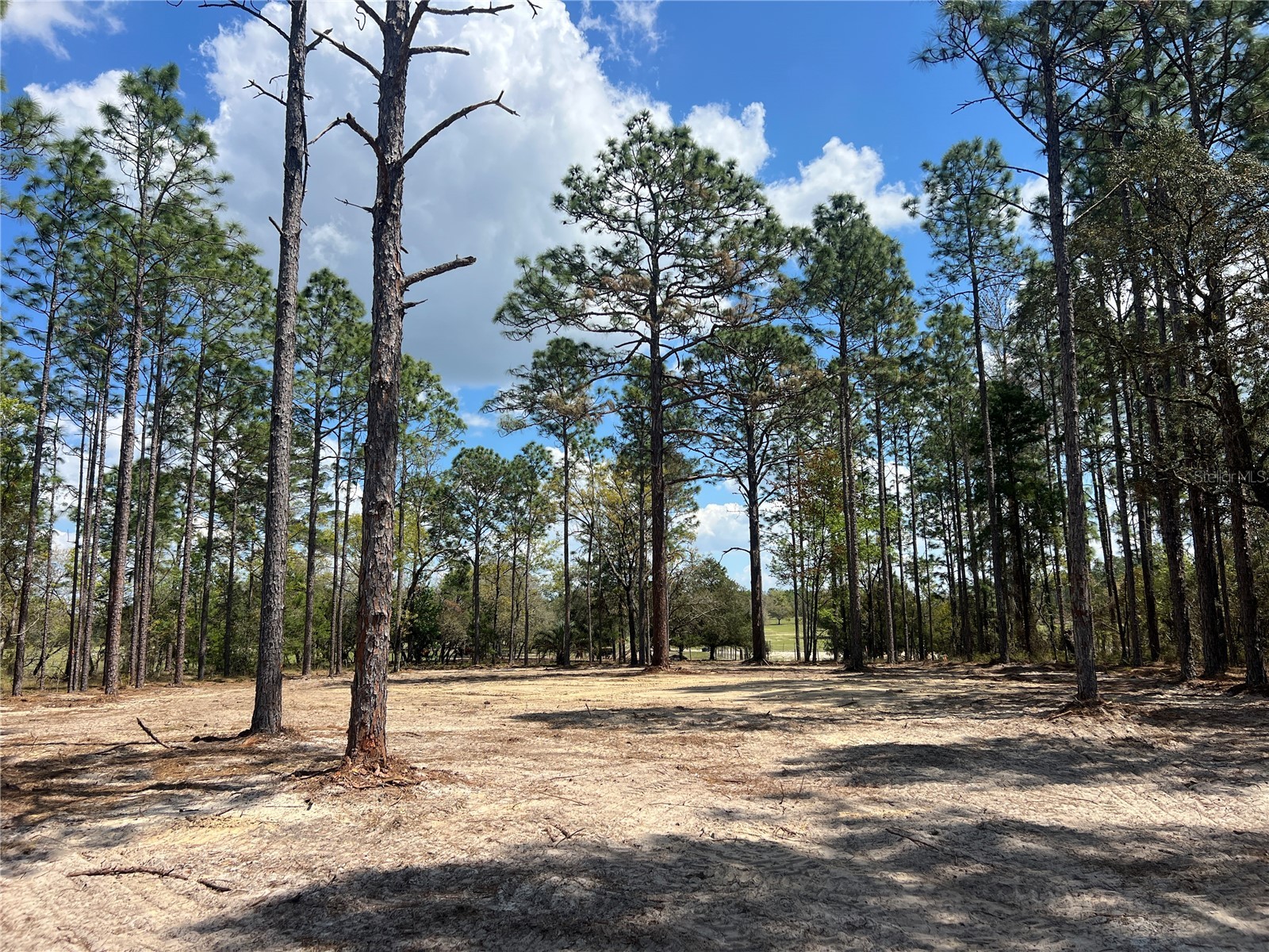 16 SE 136 Terrace Dunnellon FL 34431 OM721677 image1