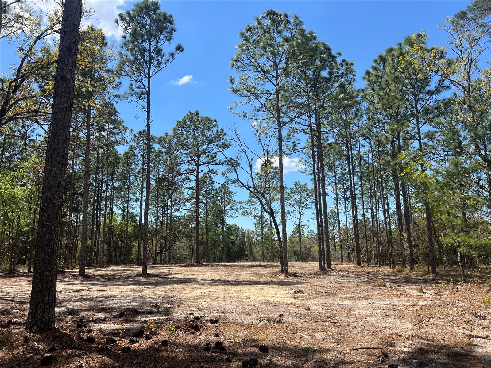 16 SE 136 Terrace Dunnellon FL 34431 OM721677 image10