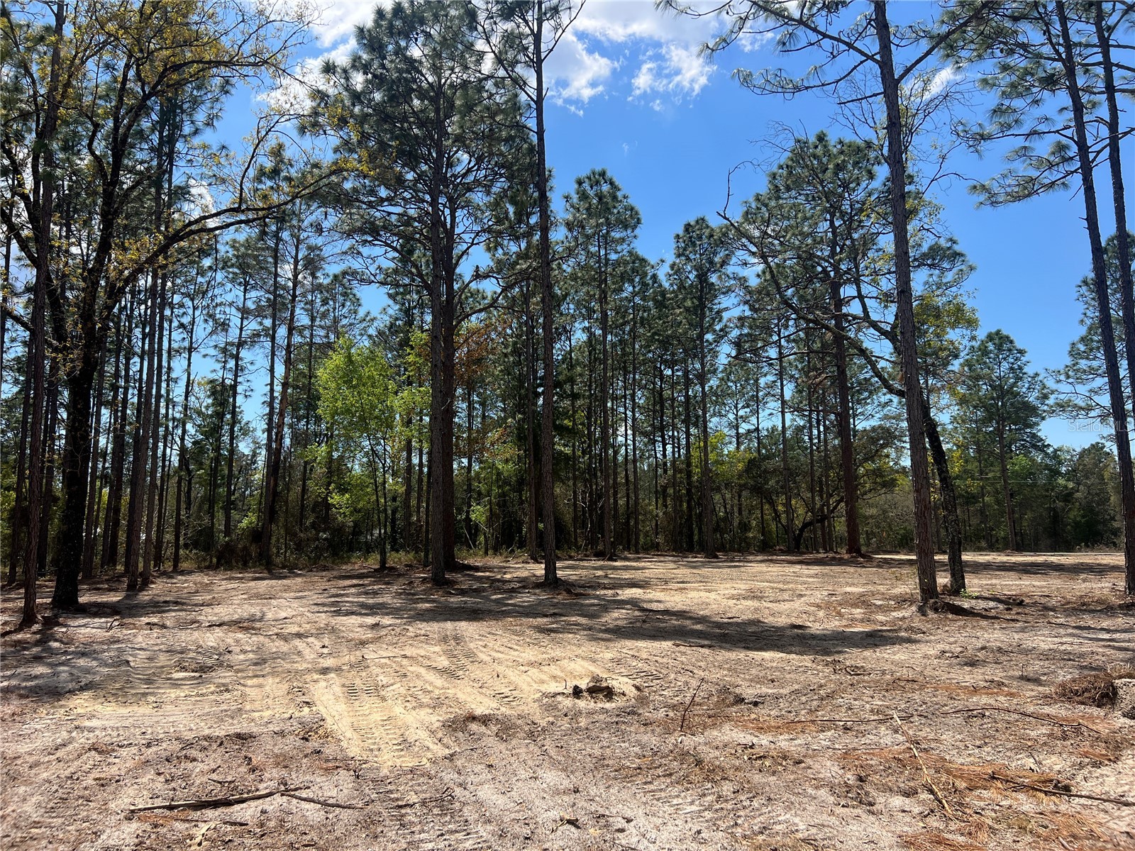 16 SE 136 Terrace Dunnellon FL 34431 OM721677 image11