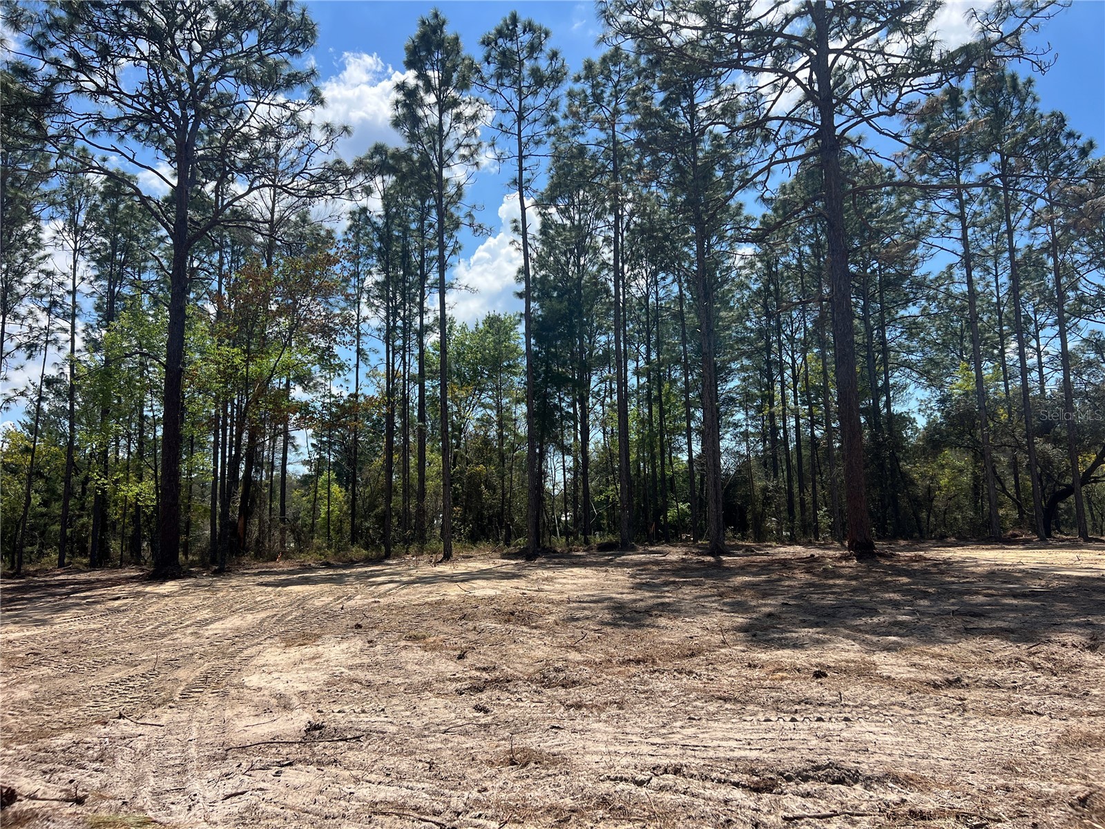 16 SE 136 Terrace Dunnellon FL 34431 OM721677 image15