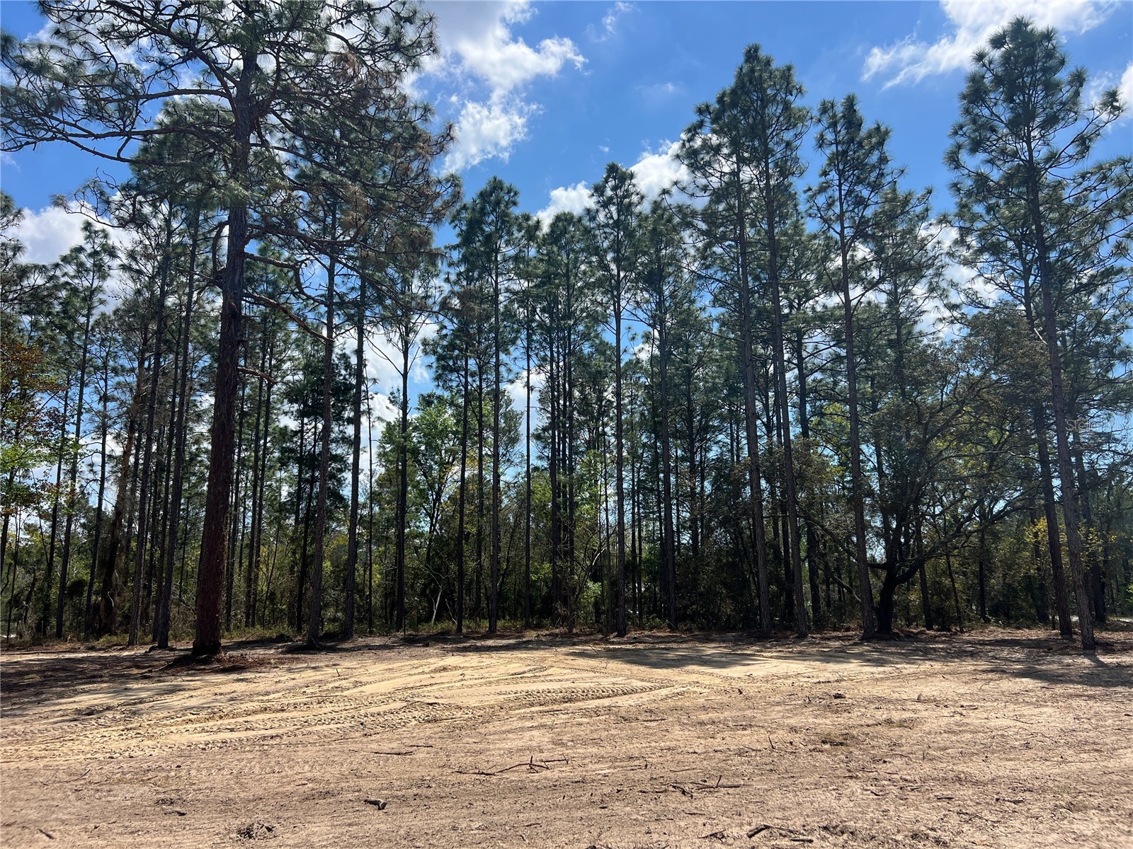 16 SE 136 Terrace Dunnellon FL 34431 OM721677 image16