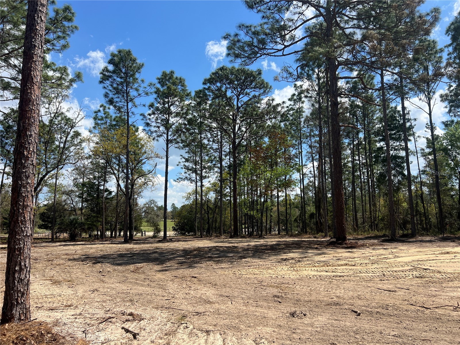 16 SE 136 Terrace Dunnellon FL 34431 OM721677 image17