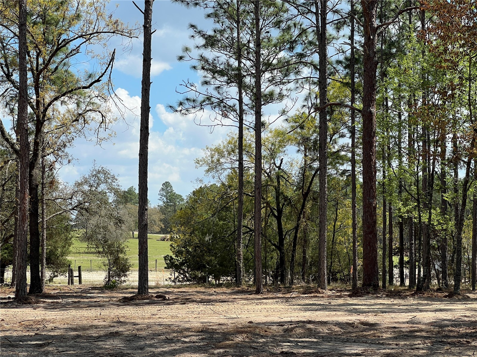 16 SE 136 Terrace Dunnellon FL 34431 OM721677 image18
