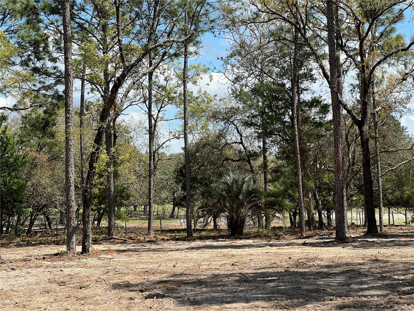 16 SE 136 Terrace Dunnellon FL 34431 OM721677 image19