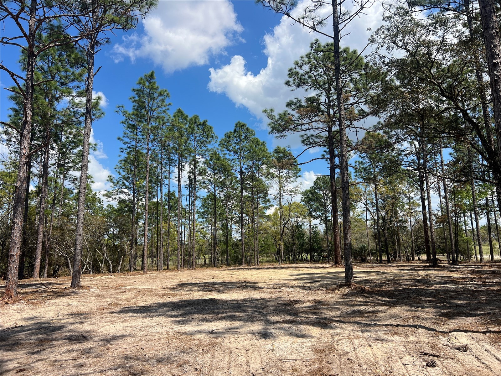 16 SE 136 Terrace Dunnellon FL 34431 OM721677 image2