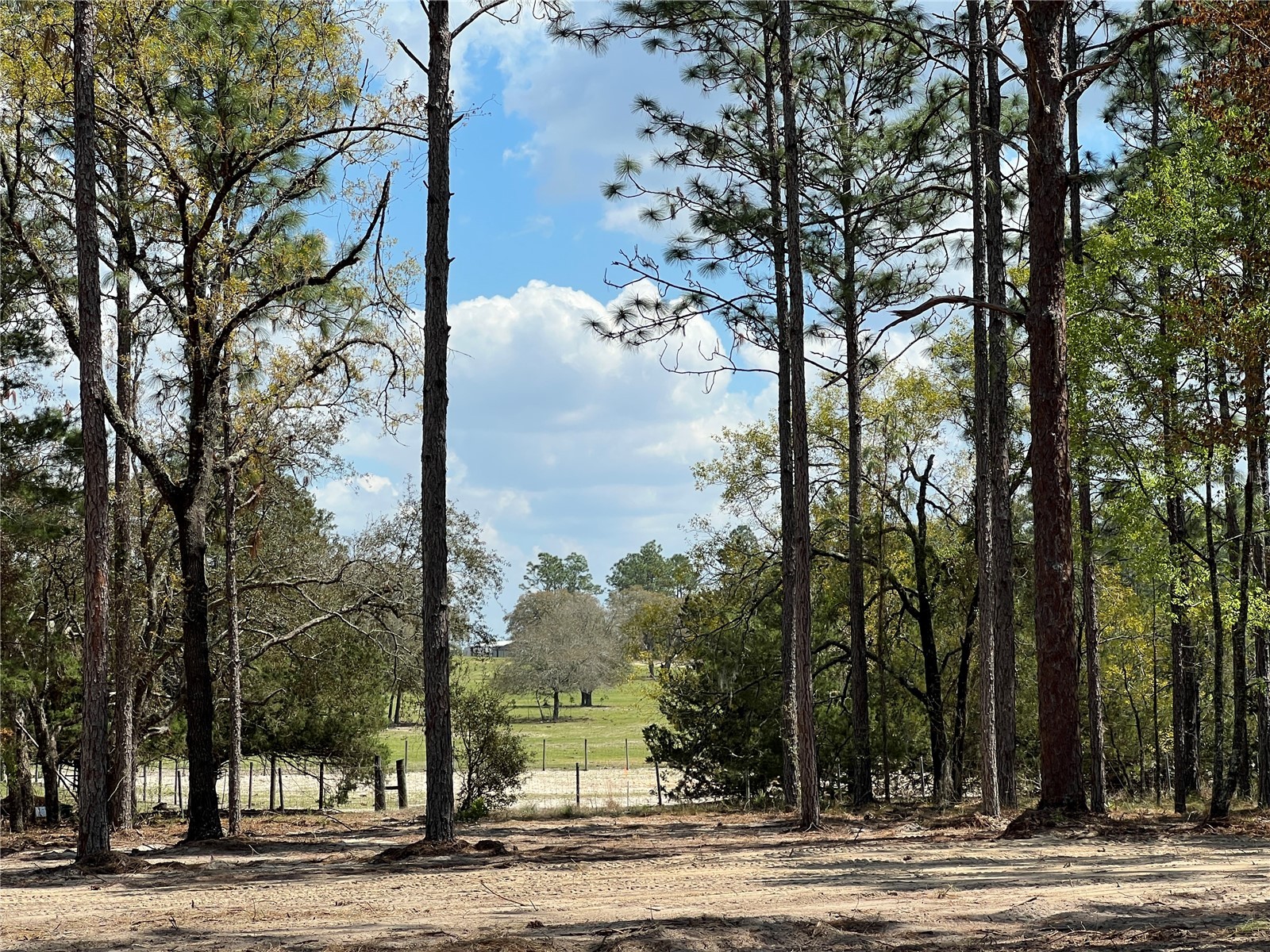 16 SE 136 Terrace Dunnellon FL 34431 OM721677 image20