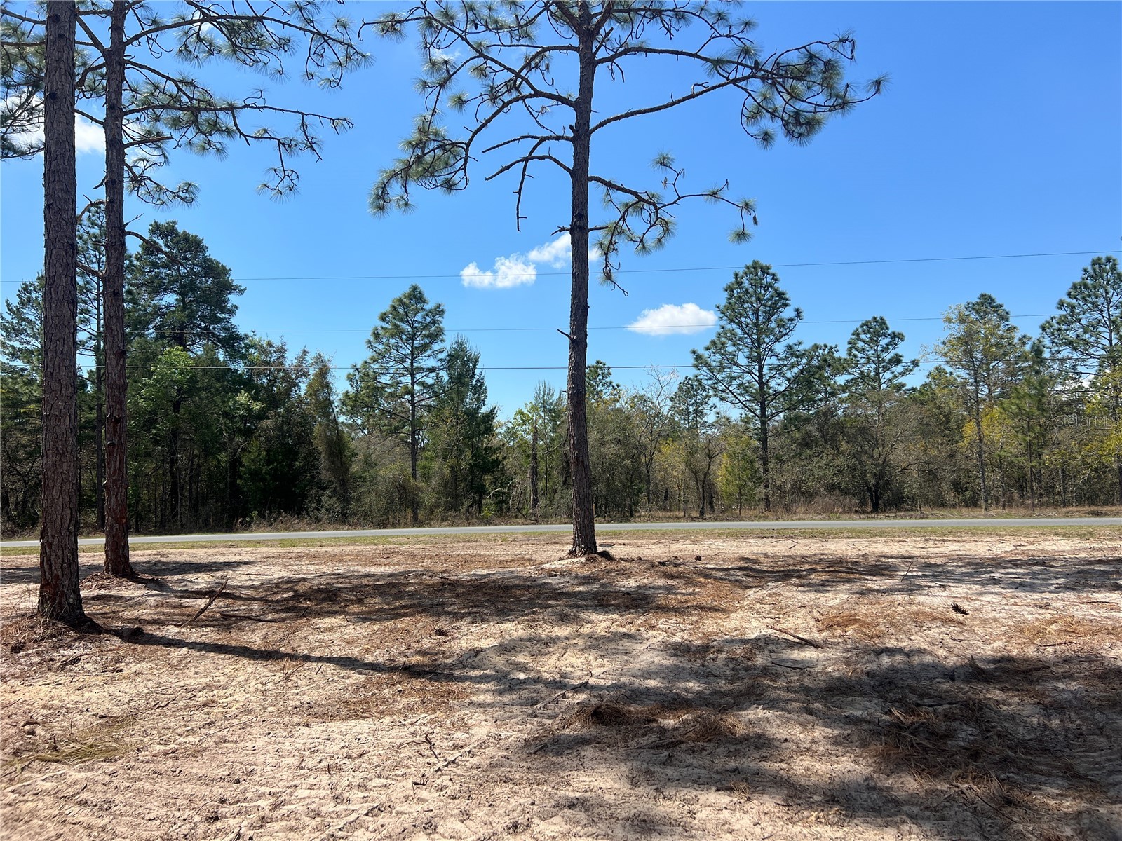 16 SE 136 Terrace Dunnellon FL 34431 OM721677 image21