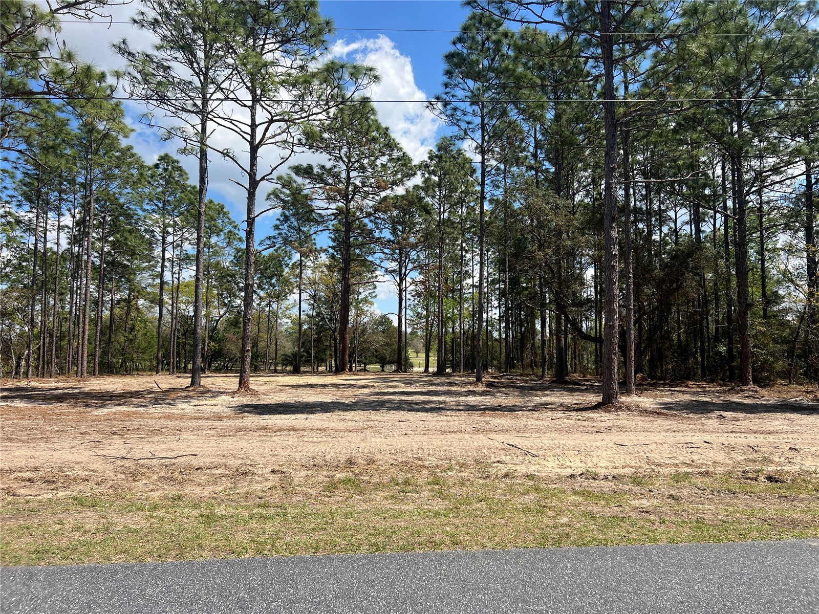 16 SE 136 Terrace Dunnellon FL 34431 OM721677 image23