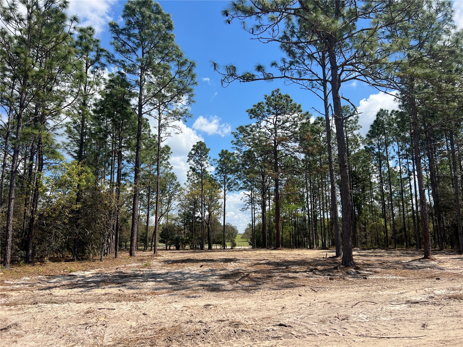 16 SE 136 Terrace Dunnellon FL 34431 OM721677 image24