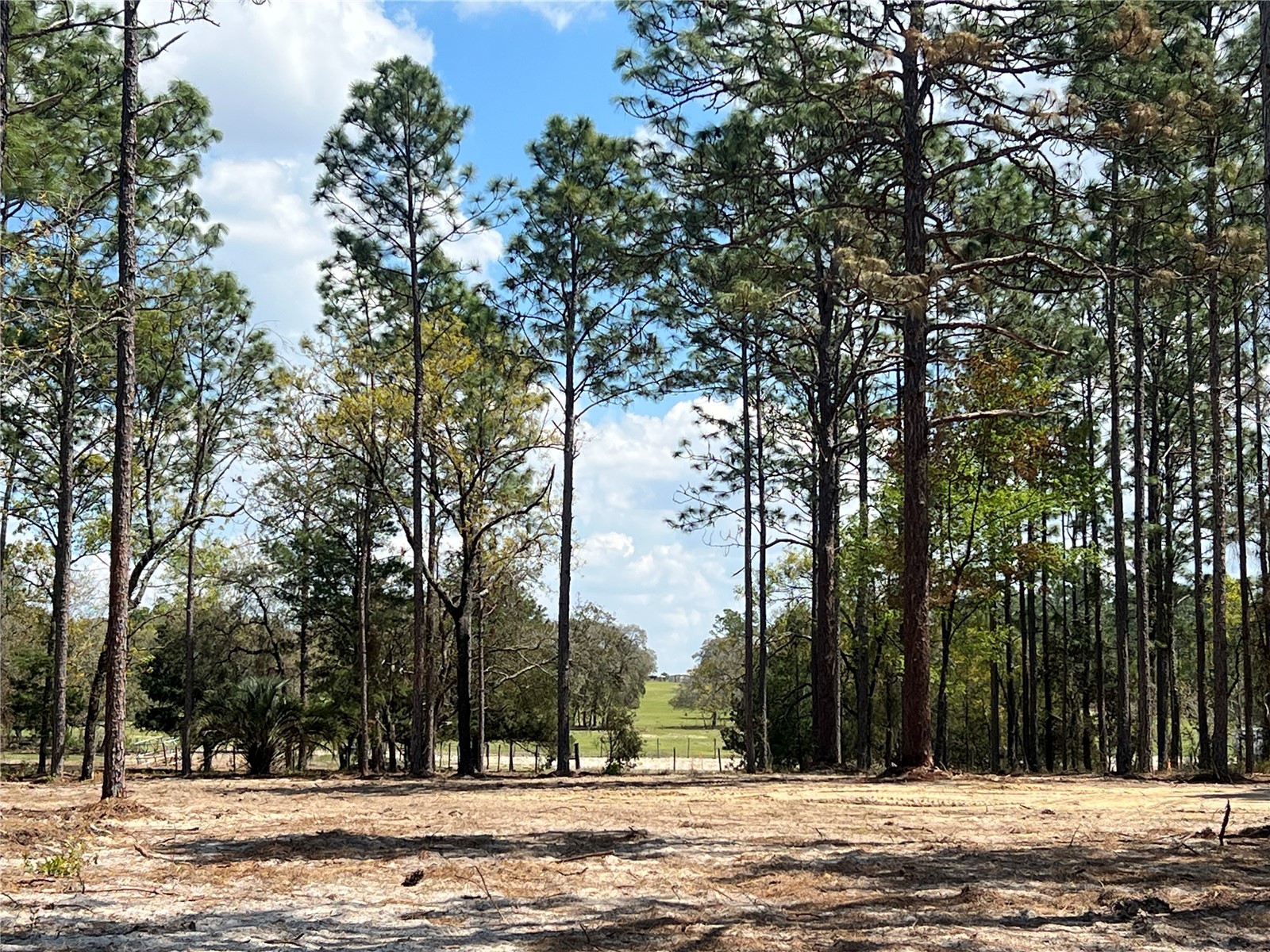 16 SE 136 Terrace Dunnellon FL 34431 OM721677 image25