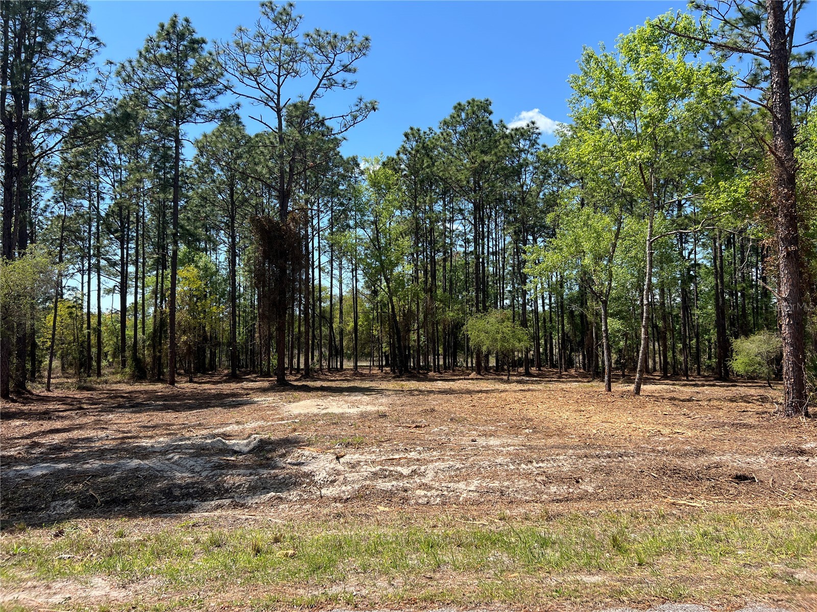 16 SE 136 Terrace Dunnellon FL 34431 OM721677 image26