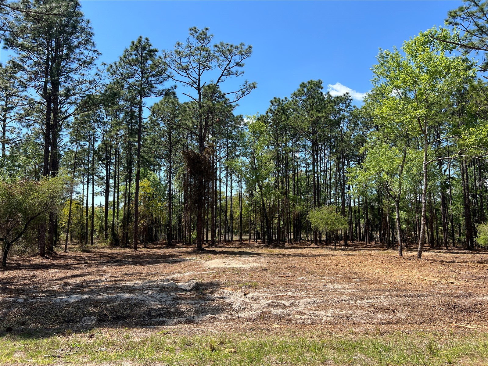16 SE 136 Terrace Dunnellon FL 34431 OM721677 image27