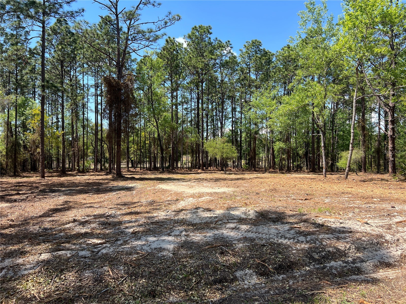 16 SE 136 Terrace Dunnellon FL 34431 OM721677 image28