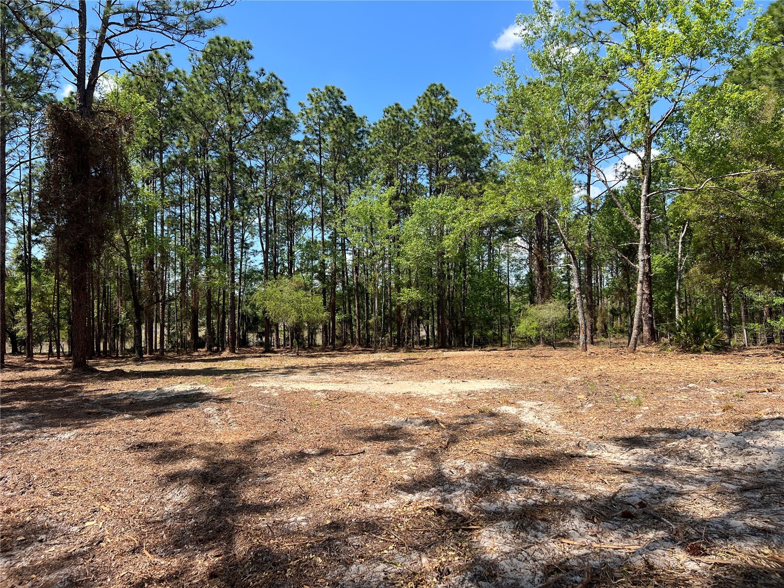 16 SE 136 Terrace Dunnellon FL 34431 OM721677 image29