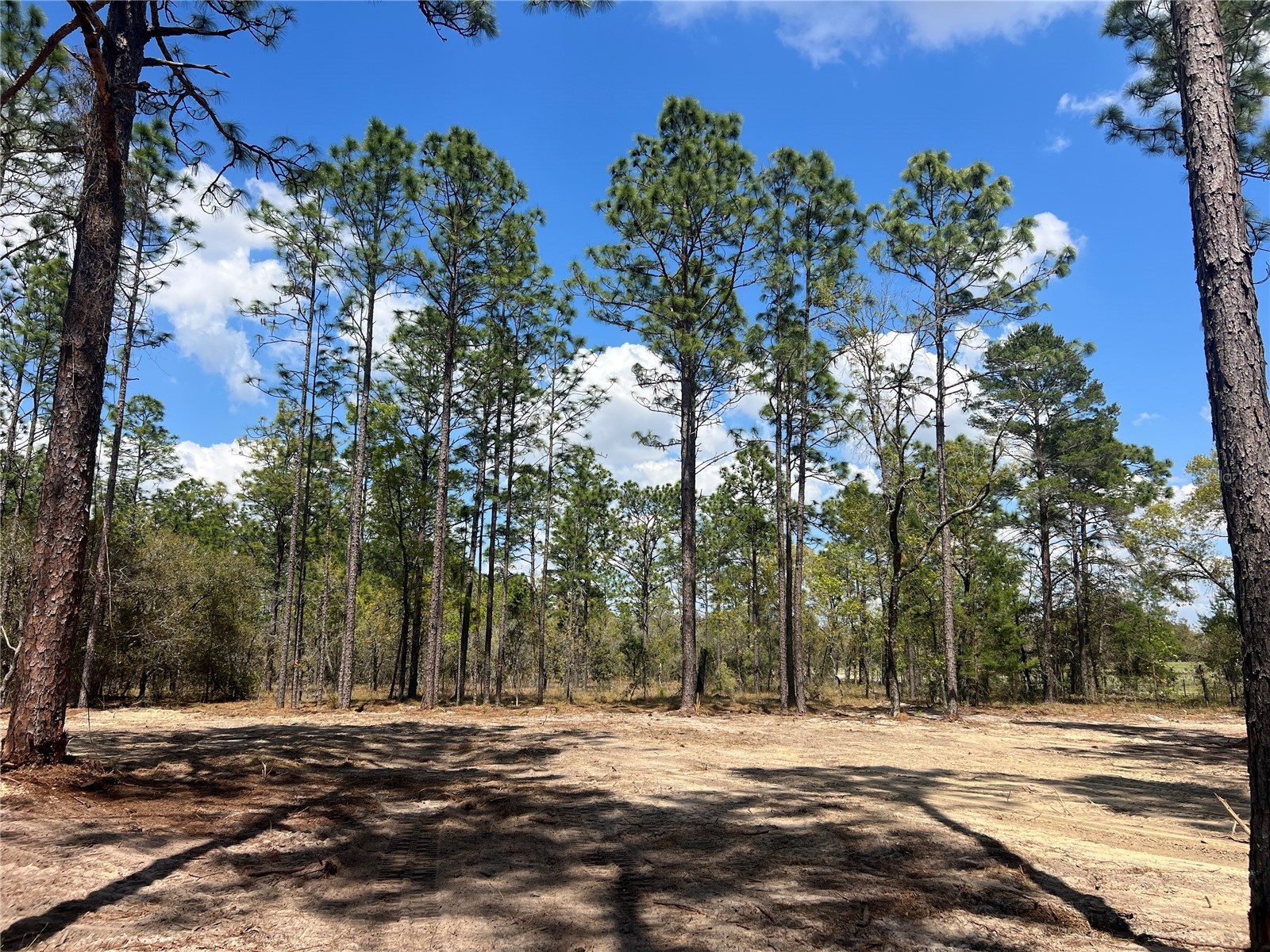 16 SE 136 Terrace Dunnellon FL 34431 OM721677 image4