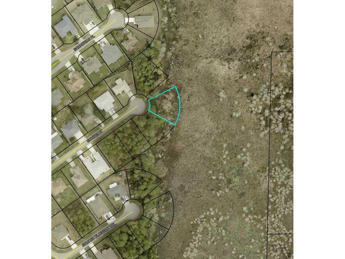 16 Squire Court Palm Coast FL 32164 TB8490932 image2