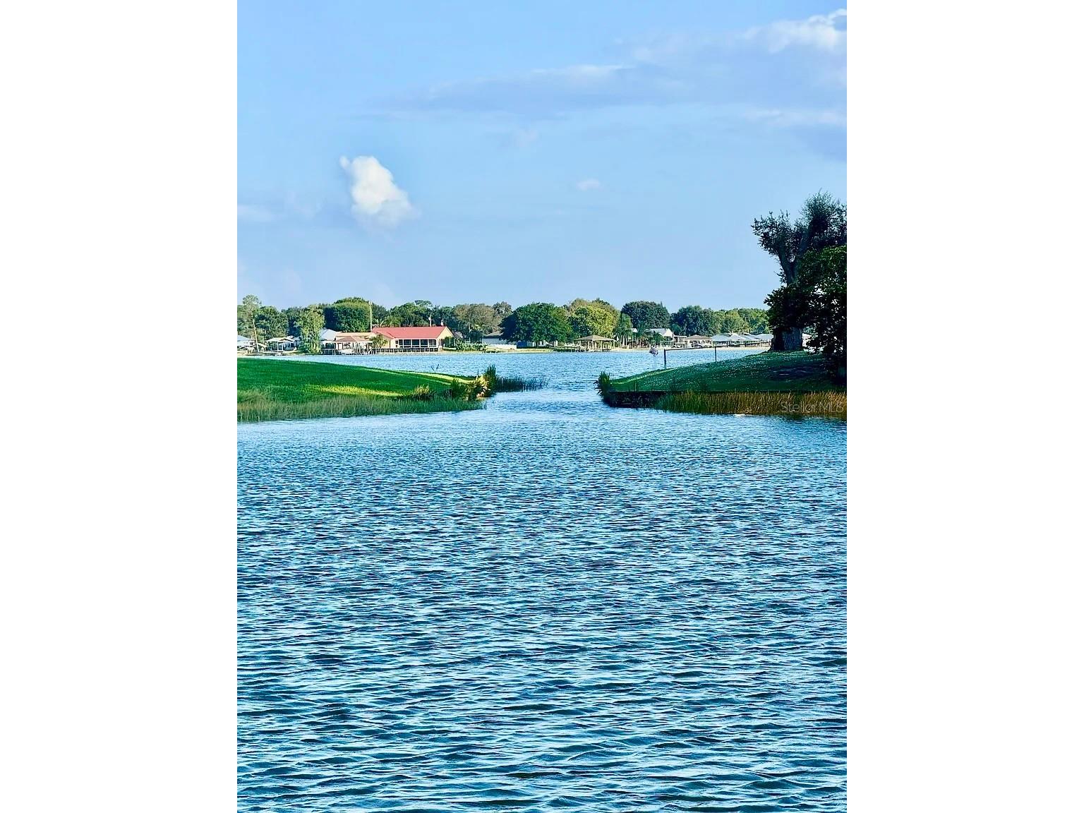 16 W Palm Circle Lake Placid FL 33852 - LAKE GRASSY A4699199 image21