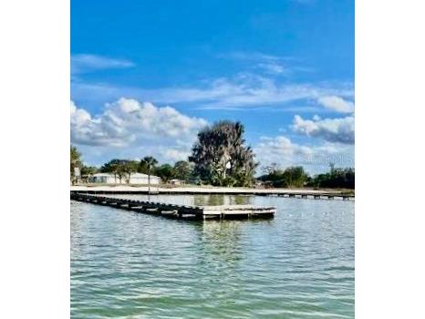 16 W Palm Circle Lake Placid FL 33852 - LAKE GRASSY A4699199 image29