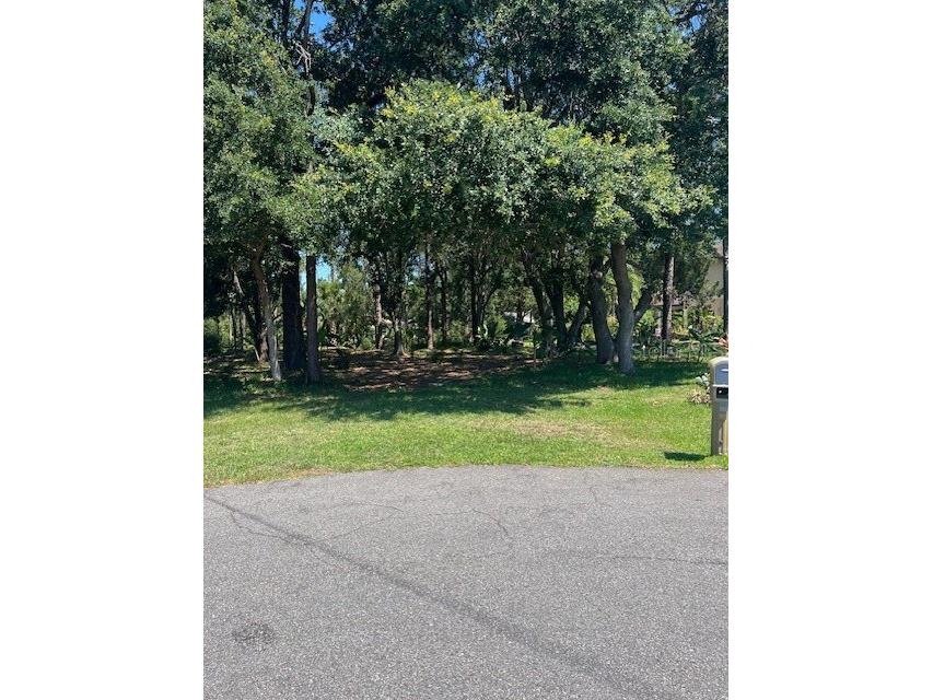 16 Whitaker Place Palm Coast FL 32164 O6217366 image1