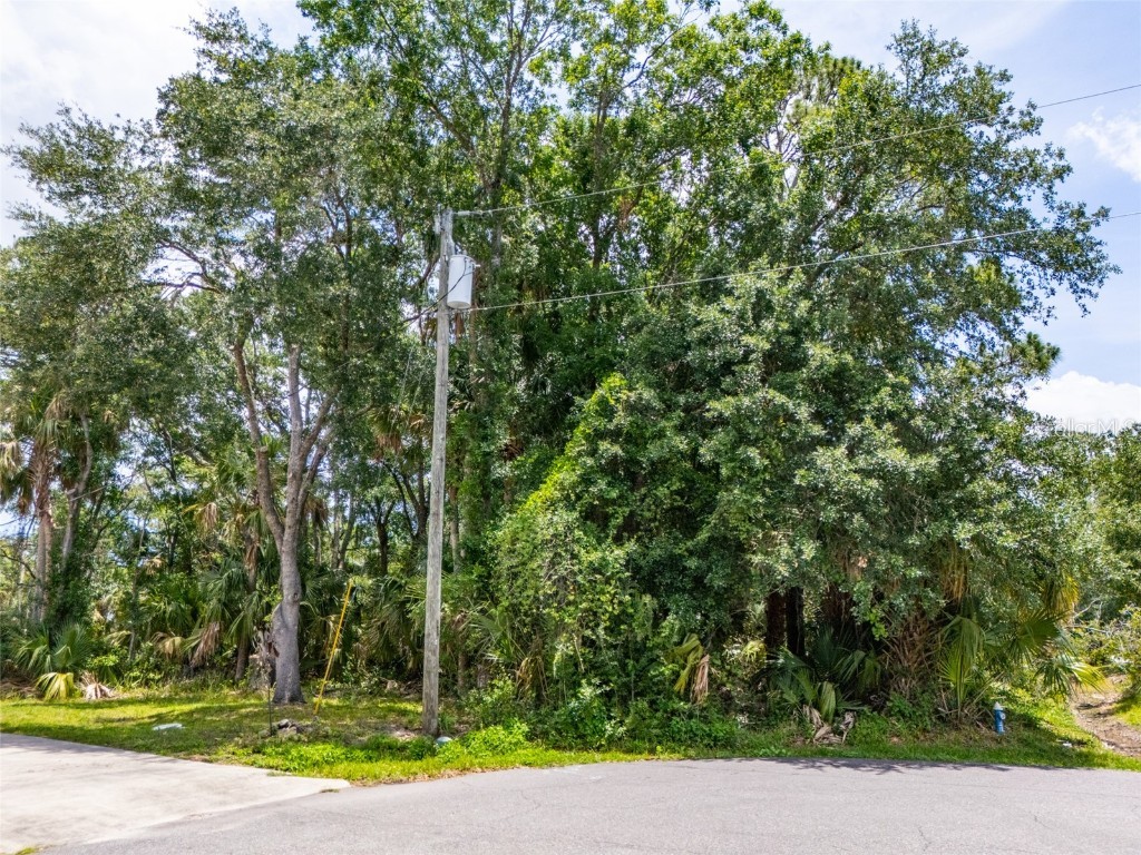 16 White Hawk Place Palm Coast FL 32164 FC310136 image13