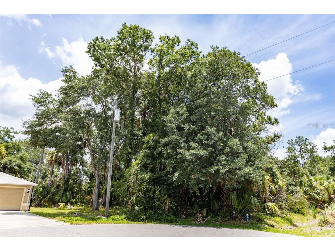 16 White Hawk Place Palm Coast FL 32164 FC310136 image4