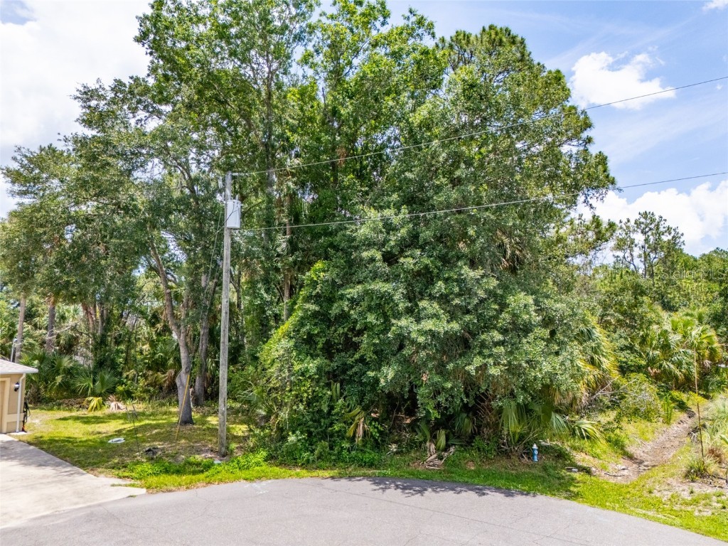 16 White Hawk Place Palm Coast FL 32164 FC310136 image5