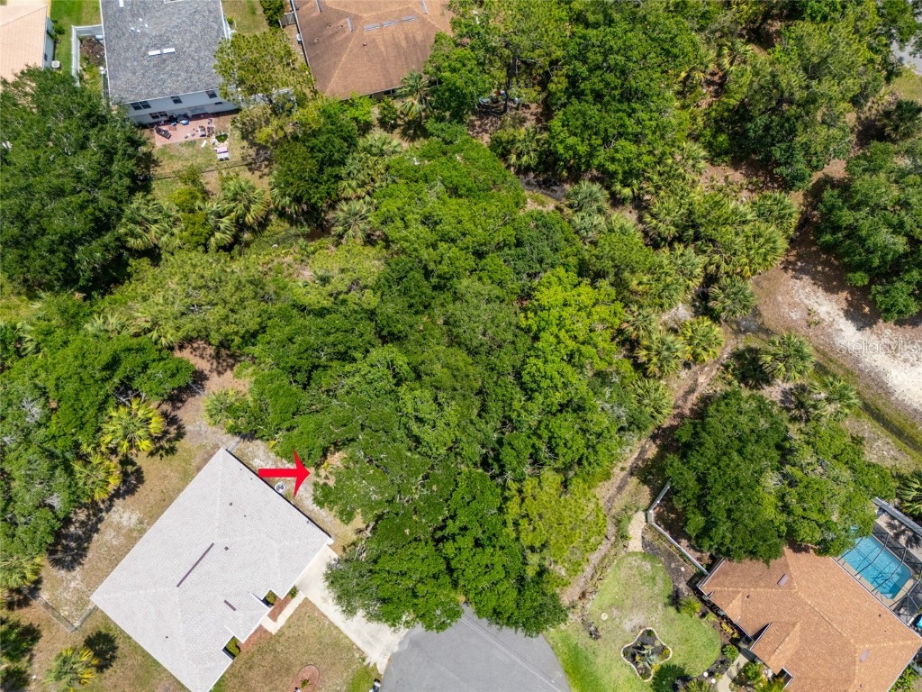 16 White Hawk Place Palm Coast FL 32164 FC310136 image8