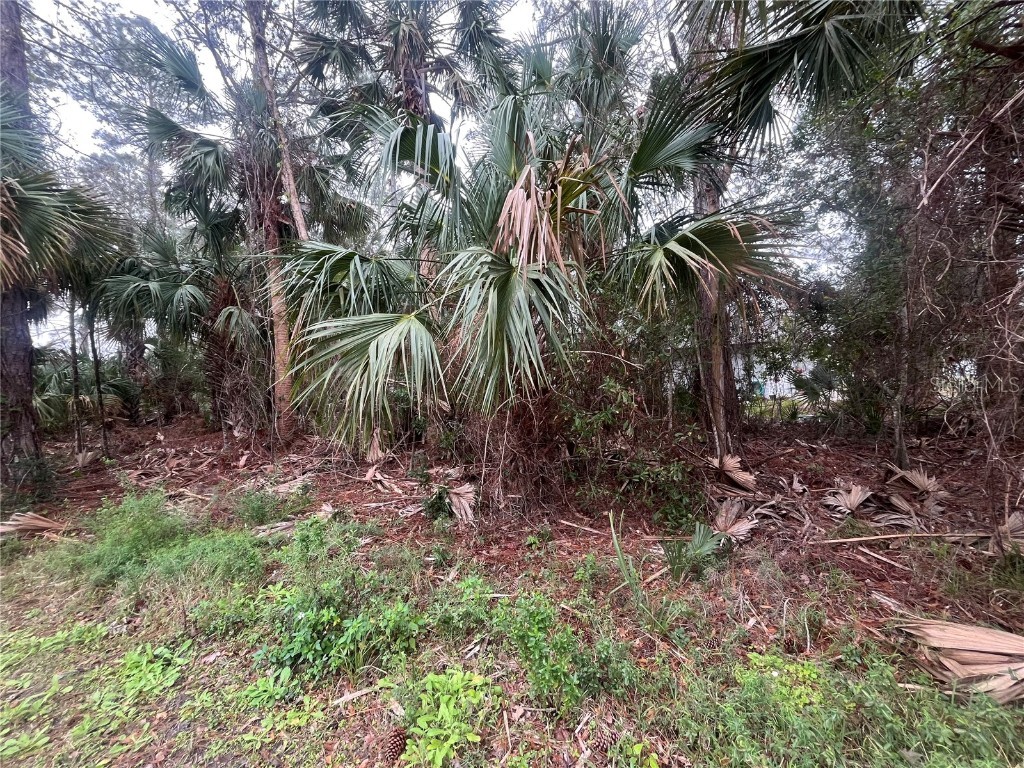 16 White Oak Lane Palm Coast FL 32164 OK224862 image1