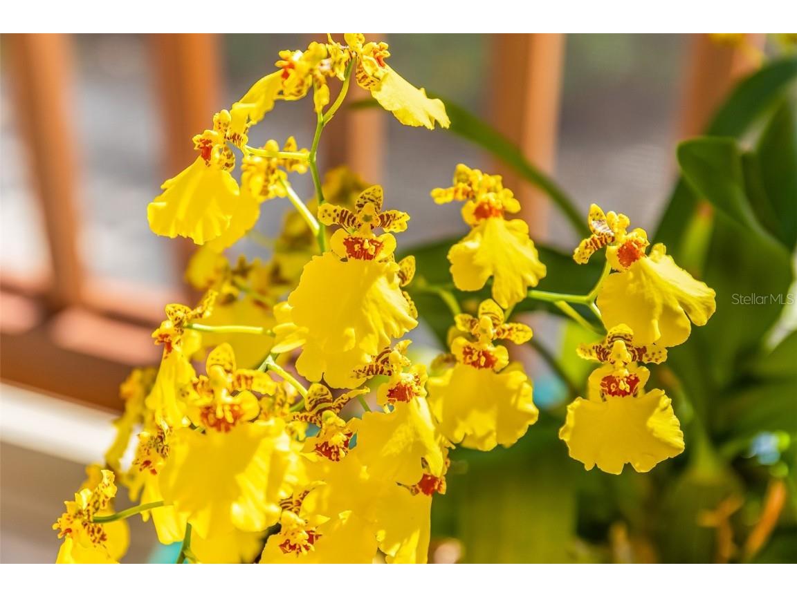 160 1st Street E Boca Grande FL 33921 D6145289 image32