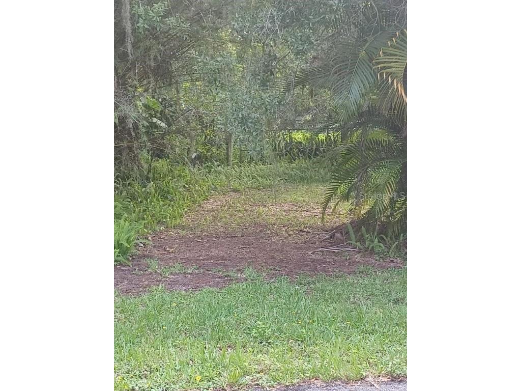 160 3rd Avenue Kenansville FL 34739 S5094513 image1