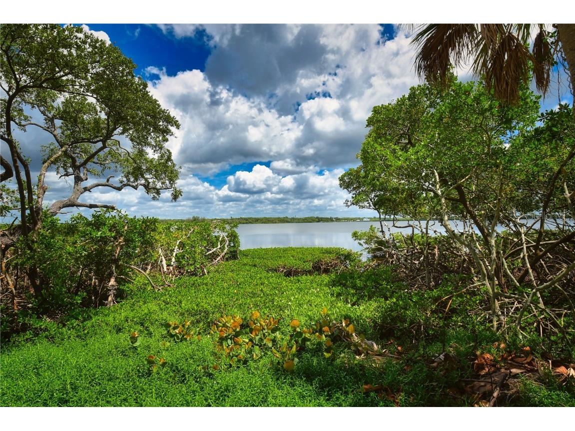 160 Bayshore Drive Terra Ceia FL 34250 - TERRA CEIA BAY TB8328278 image17