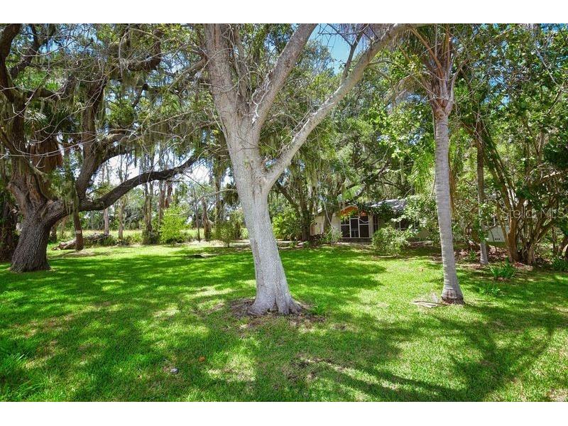 160 Bayshore Drive Terra Ceia FL 34250 - TERRA CEIA BAY TB8328278 image24