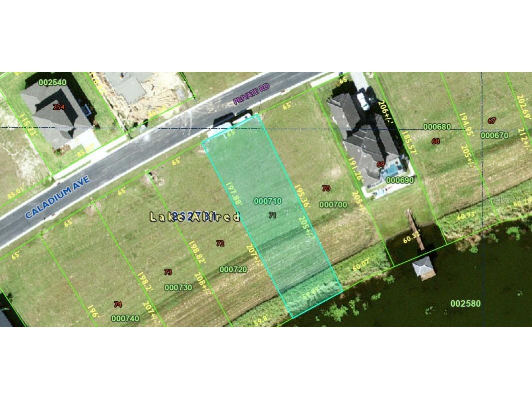 160 Caladium Avenue Lake Alfred FL 33850 P4934407 image1