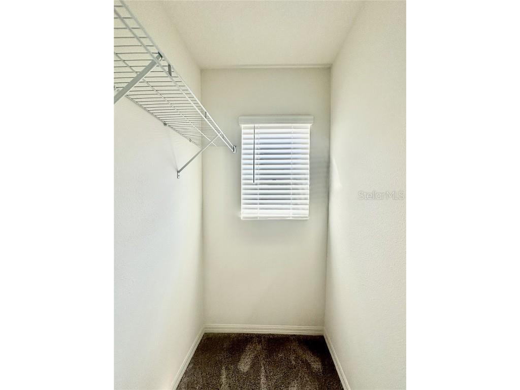 160 Cypress Knees Drive Lake Wales FL 33859 P4935747 image23