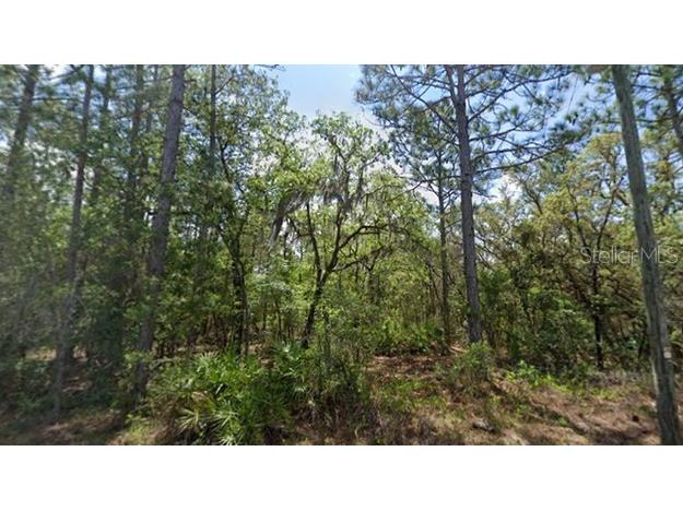 160 Daisy Street Homosassa FL 34446 OM696575 image1