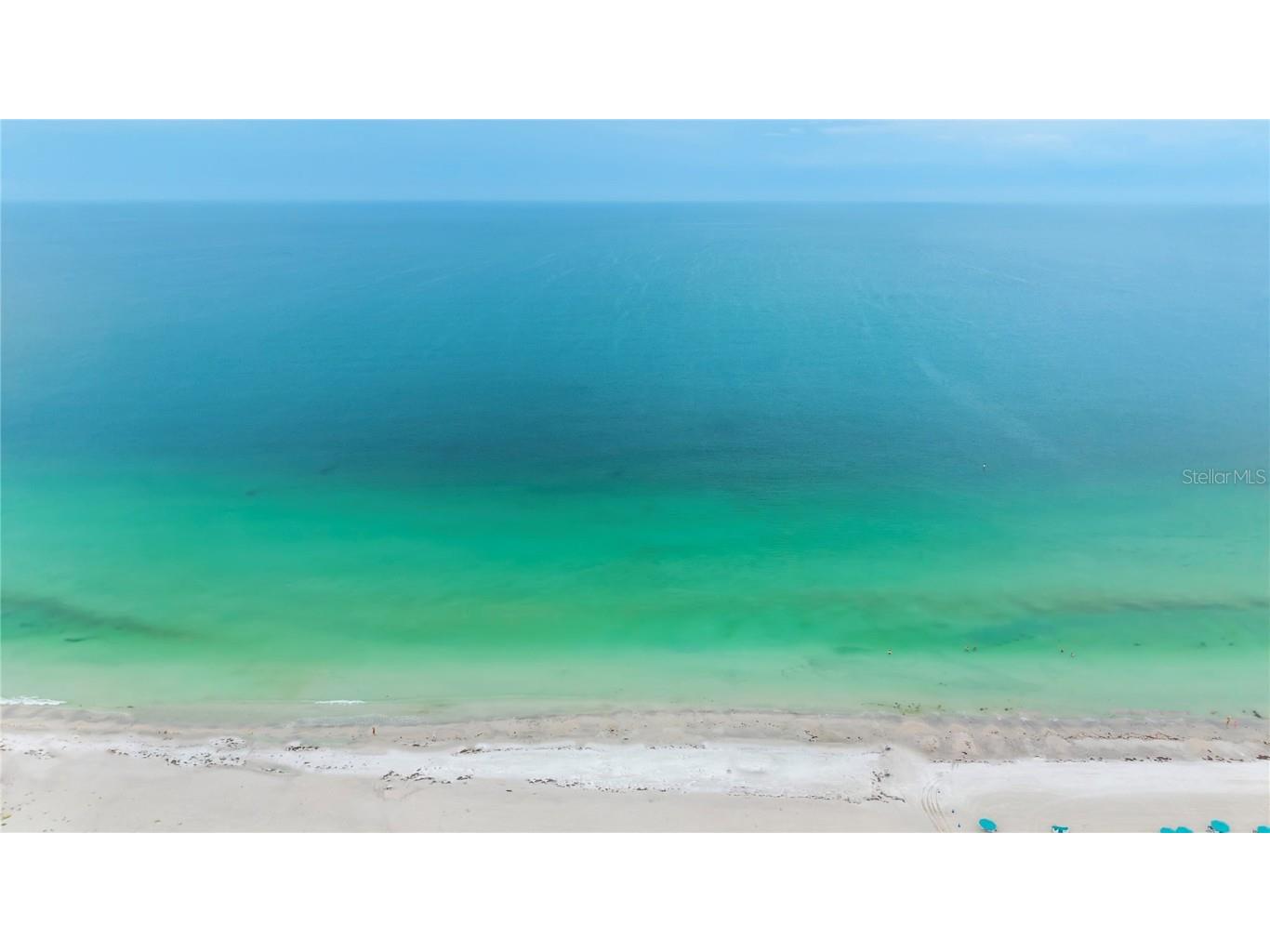 160 Harrison Drive #7 Sarasota FL 34236 A4671985 image41