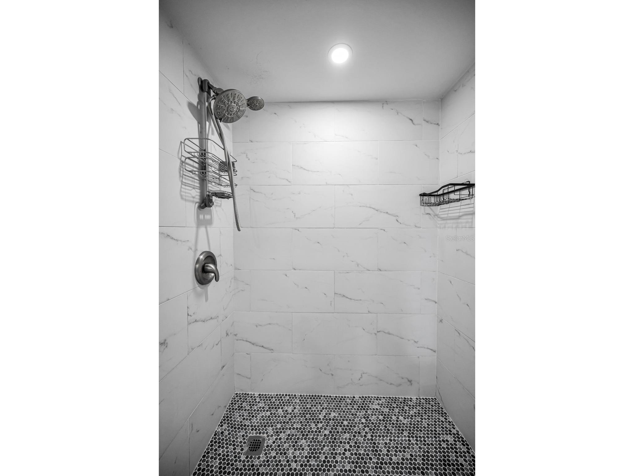 160 James Court Oldsmar FL 34677 TB8503480 image28
