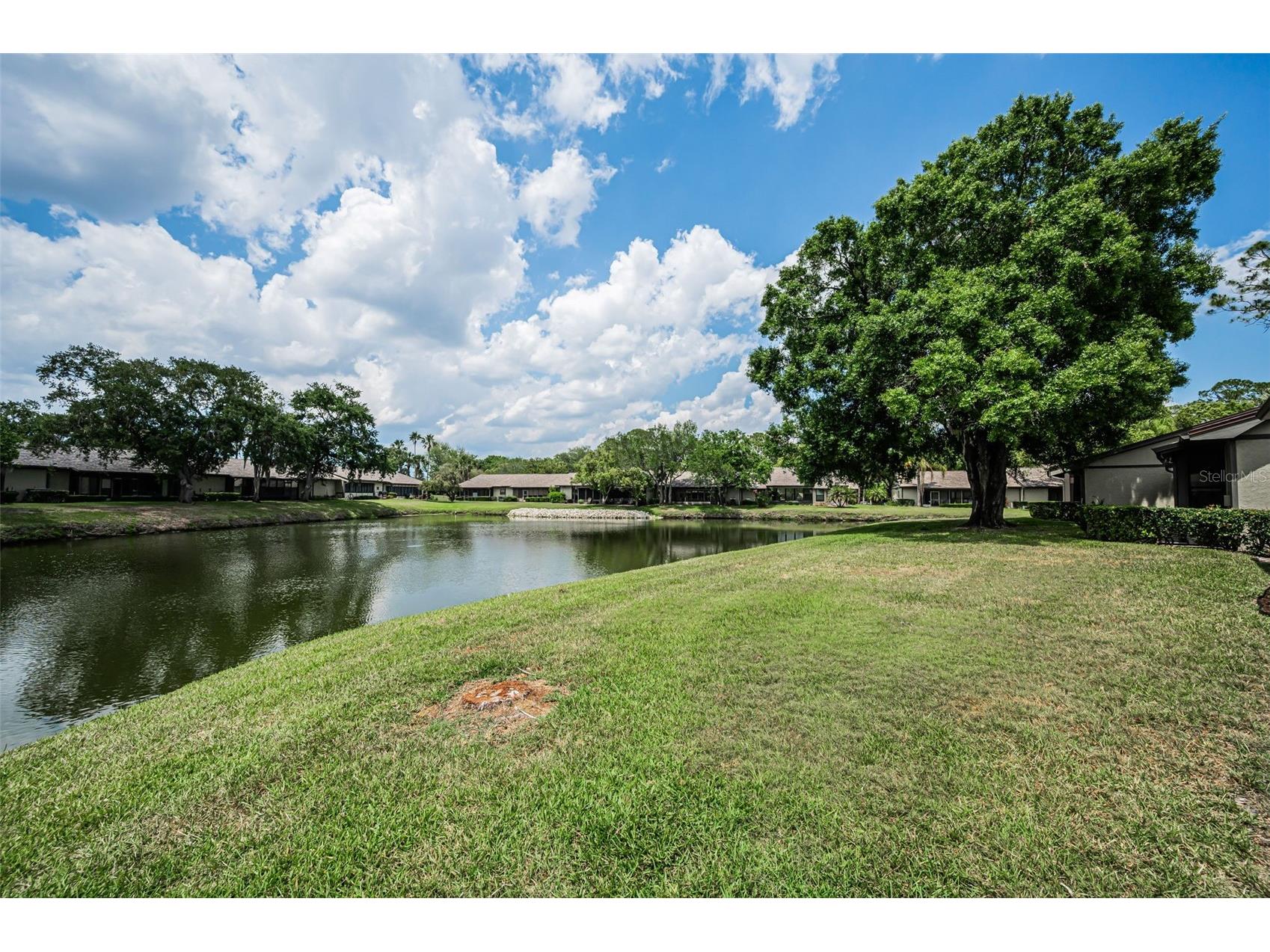 160 James Court Oldsmar FL 34677 TB8503480 image45