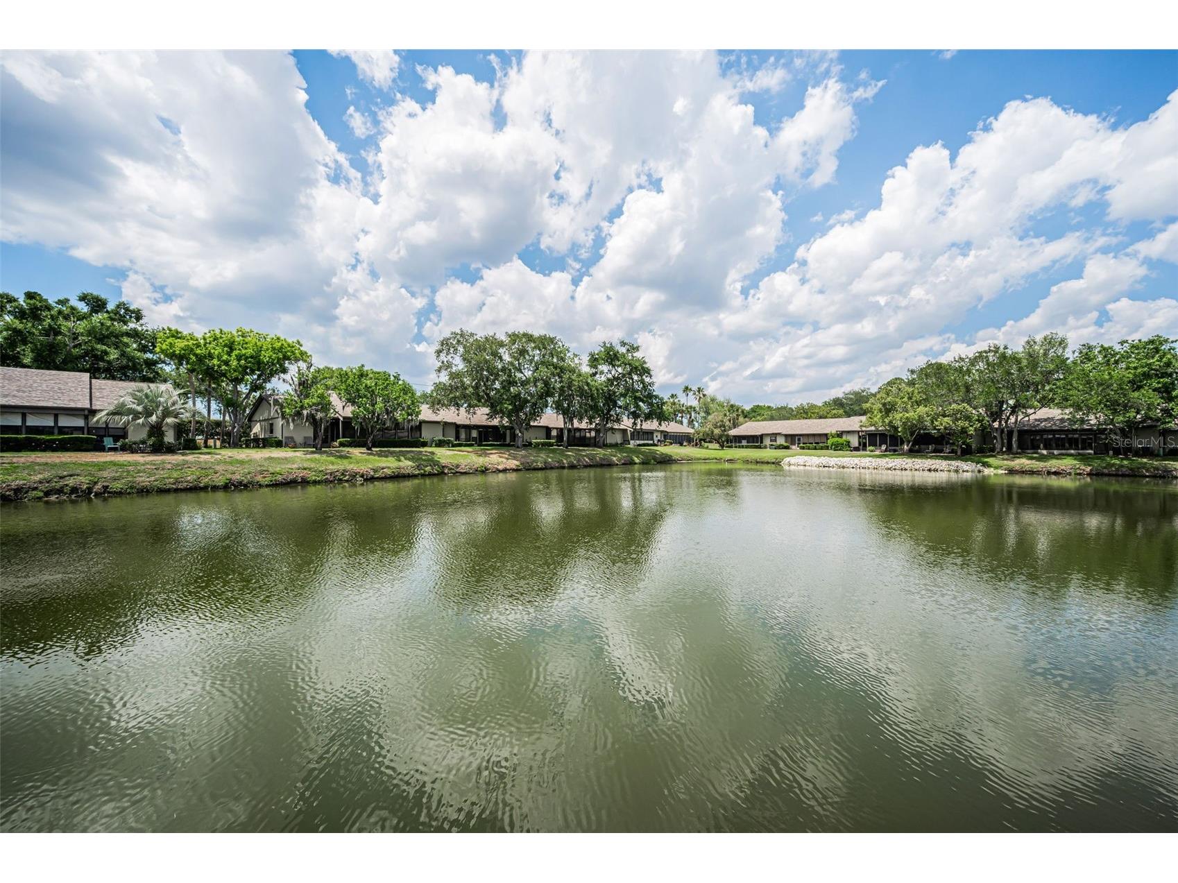 160 James Court Oldsmar FL 34677 TB8503480 image46