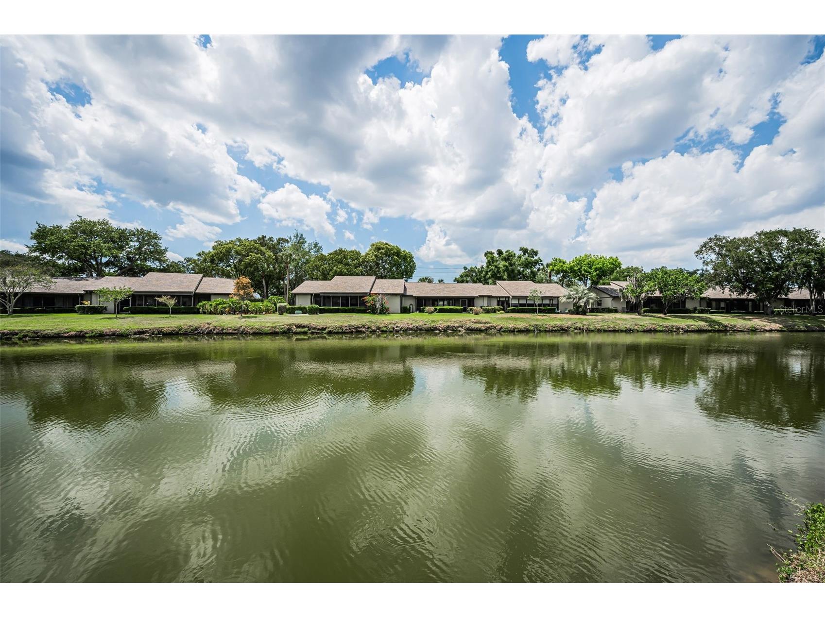 160 James Court Oldsmar FL 34677 TB8503480 image48