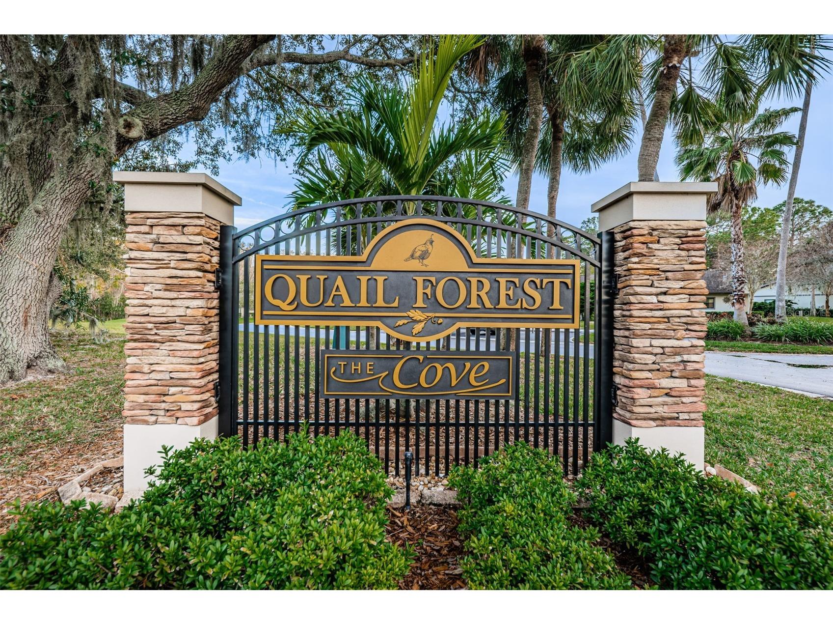 160 James Court Oldsmar FL 34677 TB8503480 image49
